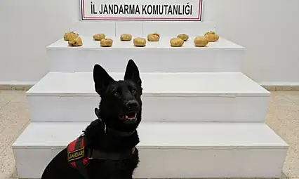 Van'da jandarmadan uyuşturucu operasyonu: Yaklaşık 12 kilo esrar ele geçirildi
