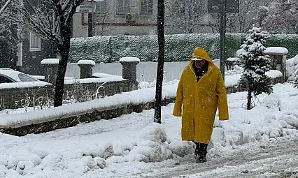 Van ve Bitlis'te kar yağışı etkili oldu