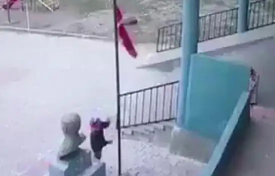 Ağrı'da koyun otlatan çocuğun bayrak hassasiyeti takdir topladı