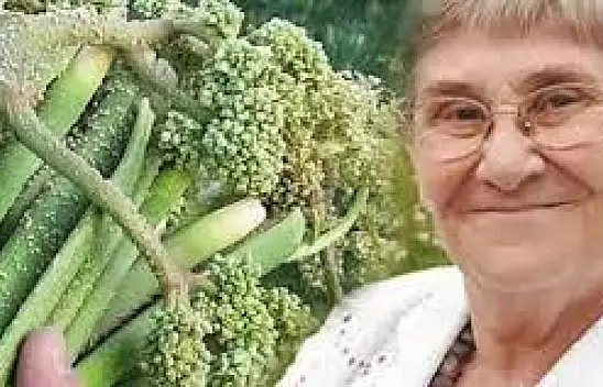 Canan Karatay'ın yeni favorisi bakın nedir? Uçkun-Işkın otu nedir? Canan Karatay Uçkun ile ne yapıyor?