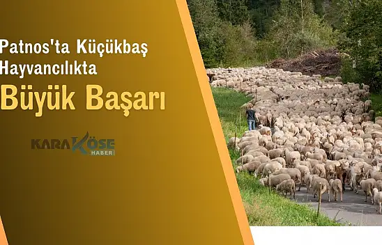 Patnos'ta Küçükbaş Hayvancılıkta Büyük Başarı