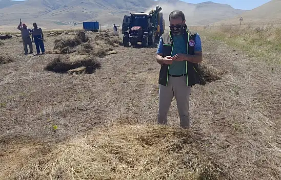 Ağrı Tarım hasat dönemi kontrol ve denetimlerini sıklaştırdı