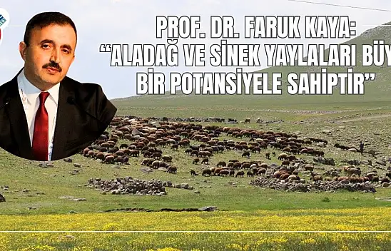 Prof. Dr. Faruk Kaya: 'Aladağ ve Sinek yaylaları büyük bir potansiyele sahiptir'