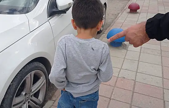 Doğubayazıt'ta Çekirge İstilası