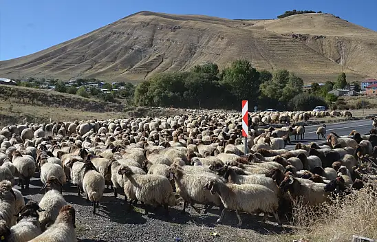 Muş'ta göçerlerin dönüş yolculuğuna başladı