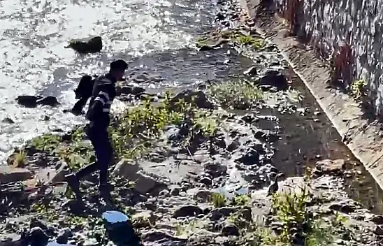 Bitlis'te dereye düşen keklik kurtarıldı