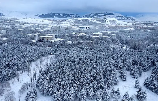 Erzurum'da 39 yerleşim yerinin yolu kapandı
