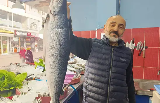 Ağrı'da balık sezonu açıldı! Tezgâhlarda hareketlilik başladı