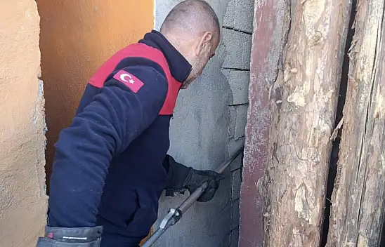 Ağrı'da bayram günü köpek kurtarma seferberliği