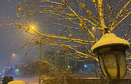 Ağrı'da beklenen kar yağdı