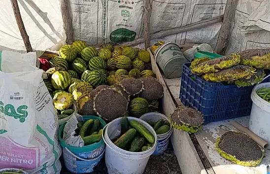 Ağrı'da bostan ürünleri vatandaşla buluştu