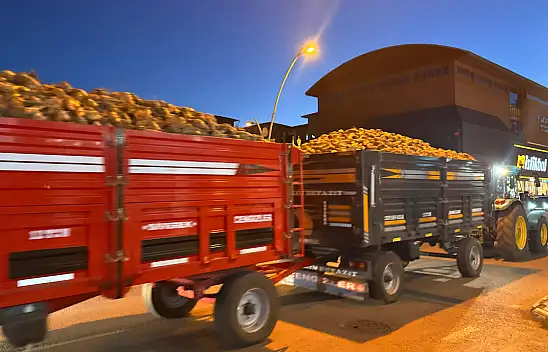 Ağrı'da çiftçinin umudu, sürücülerin kabusu oldu