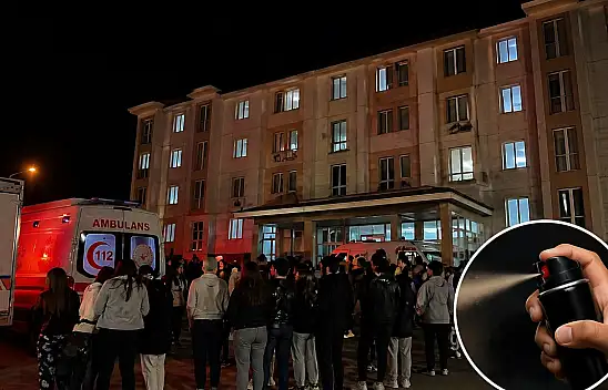 Ağrı'da doğalgazdan zehirlenme iddiasının ardından şakalaşma çıktı