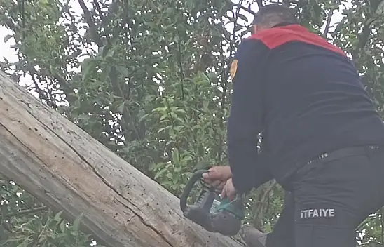 Ağrı'da fırtına ağacı evin çatısına devirdi