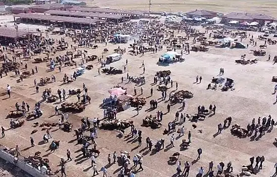Ağrı'da hayvan yetiştiricilerinin beklediği haber geldi: Hayvan Borsası açılmayacak!