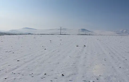 Ağrı'da kar, tarlalardaki ekinleri kuru soğuktan koruyor