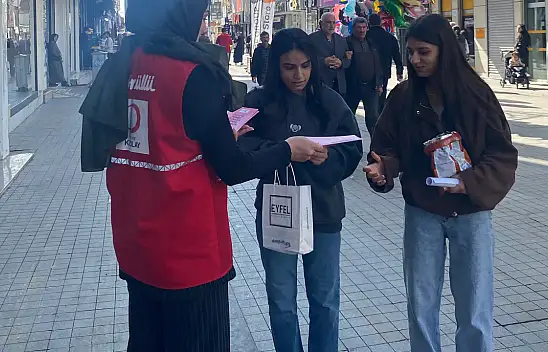 Ağrı'da Kızılay gönüllüleri meme kanserine karşı sokağa çıktı
