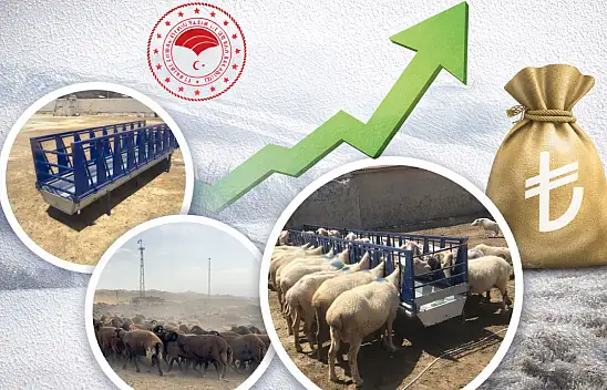 Ağrı'da küçükbaş yetiştiricilerine yüzde 60 hibe desteği