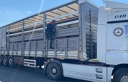Ağrı'da Kurban Bayramı öncesi belgesiz yola çıkılmaması uyarısı!