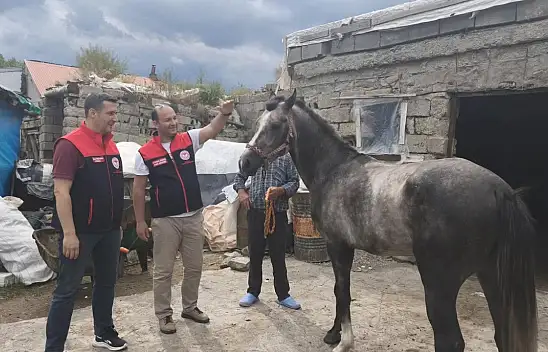 Ağrı'da mahallî at yarışları için hazırlıklar başladı