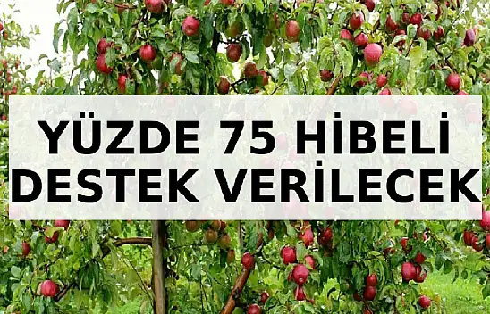 Ağrı'da Meyve yetiştiricilere yüzde 75 hibeli destek verilecek