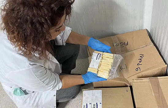 Ağrı'da sahipsiz hayvanlara kuduz aşısı uygulanıyor