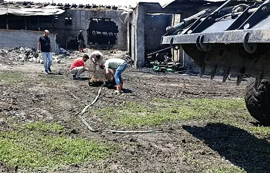 Ağrı'da yangında telef olan 30 büyükbaş hayvan toprağa gömüldü