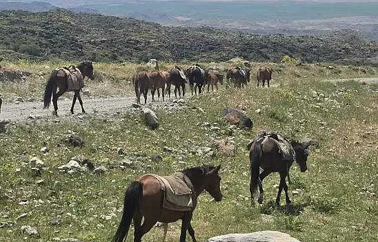 Ağrı Dağı'nın görünmez kahramanları! zirvenin en ağır yükünü onlar taşıyor