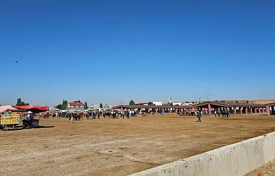 Ağrı Hayvan Borsası'nda şap alarmı! Hayvancılığın başkentinde borsa boşaldı