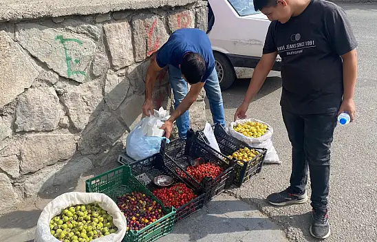 Ağrı'nın dağ meyveleri okul önlerinde tezgâha çıktı