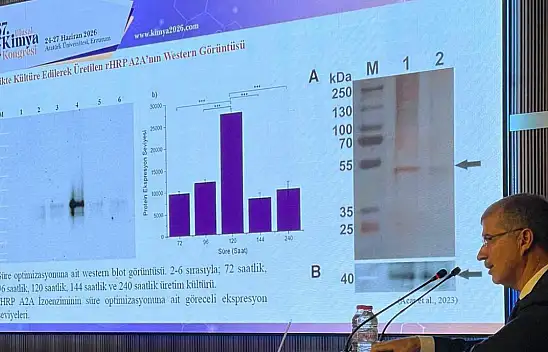 AİÇÜ, 37. Ulusal Kimya Kongresi'nde bilim dünyasıyla buluştu