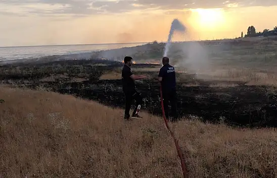 Anız ve ot yangınları Van'da alarm seviyesine ulaştı