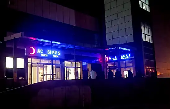 Armut toplamak için ağaca çıktı, hayatını kaybetti