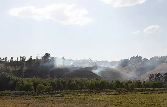 Bitlis'te etkinlik alanı yakınında çıkan yangın korkuttu