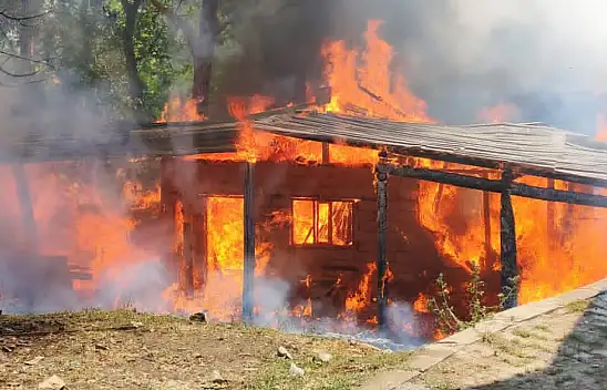 Bitlis'te kereste atölyesinde çıkan yangın evi ve mezarlığı da küle çevirdi