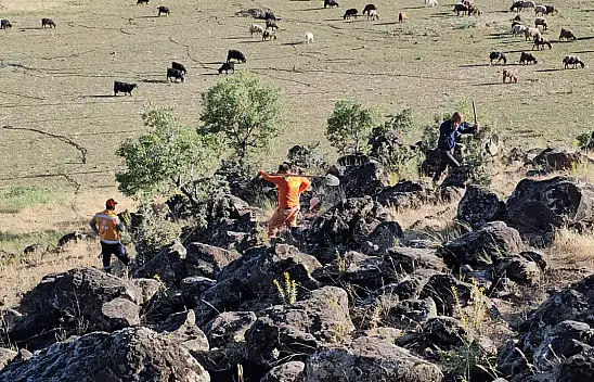 Bitlis'te otluk alan yangını: 500 dönüm arazi kül oldu