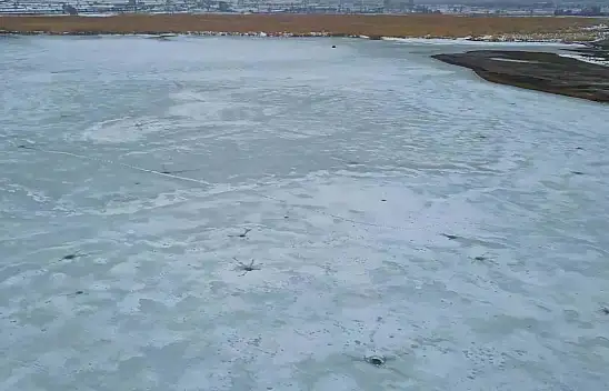 Bitlis'teki soğuk hava kuşları nereye yönlendirdi?