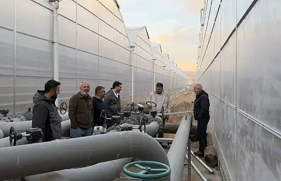 Diyadin'de domates üretimi için dev yatırım tamamlanma aşamasında!