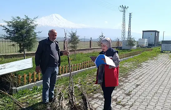 Doğubayazıt'ta çiftçilere yüzde 75 hibeli meyve fidanı desteği