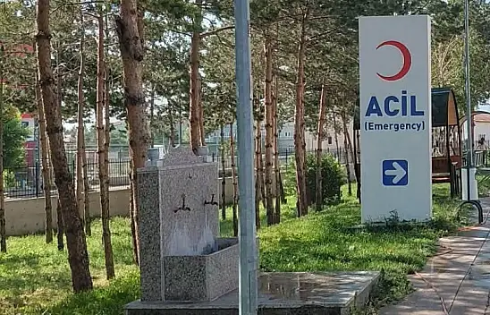Eleşkirt Devlet Hastanesi'nin bahçesi yenilendi