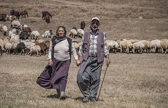 Erzurum'un dağlarında 50 yıldır aynı hayatı paylaşıyorlar