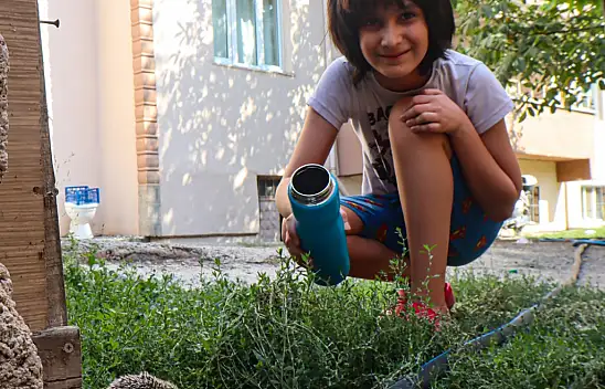 Iğdır'da 35 derece sıcakta susayan yavru kirpinin yardımına 10 yaşındaki Yekda koştu