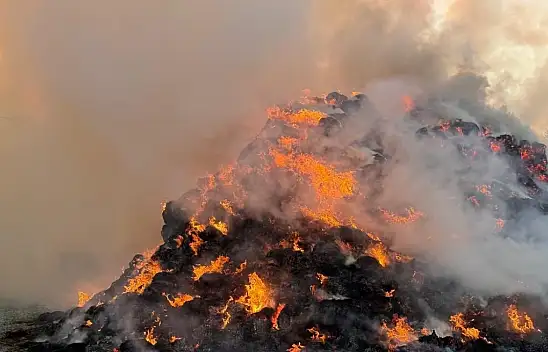 Iğdır'da çıkan yangında 6 bin balya ot küle döndü