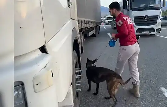 Iğdır'da kaçakçılık operasyonunda 1.376 paket sigara ve dolandırıcılıkla ilgili 4 şüpheli yakalandı