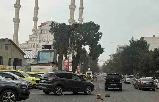 Iğdır'da Şiddetli Fırtına Hayatı Olumsuz Etkiledi