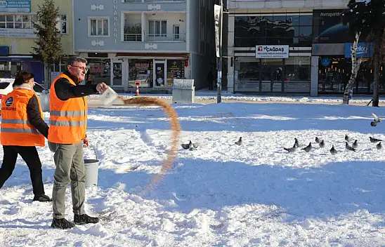 Kars Belediyesi'nden Kış Şartlarında Kuşlara Yem Desteği