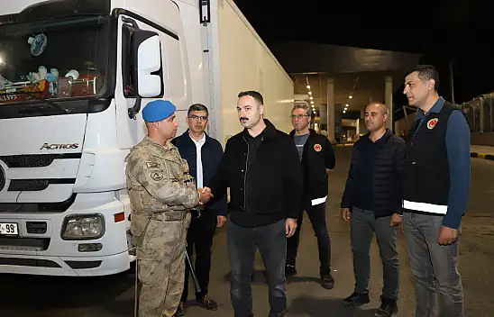 Kaymakam Ayvat Gürbulak'ta TIR yoğunluğunu denetledi