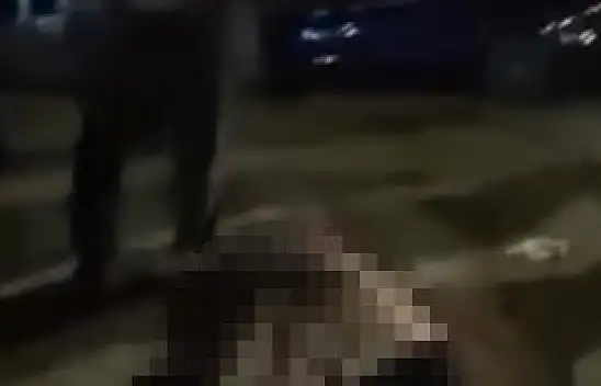 Muş-Bitlis karayolunda yaşlı kadına otomobil çarptı, olay yerinde hayatını kaybetti
