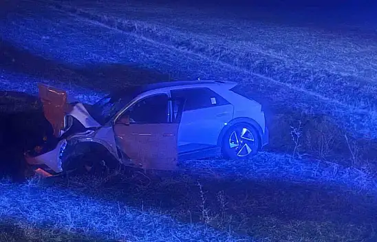Muş'ta otomobil ineğe çarptı, sürücü kurtuldu, inek telef oldu