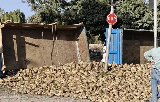 Muş'ta şeker pancarı yüklü traktör devrildi, trafik kontrol altına alındı